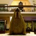 The Horniman's famous walrus. Photo courtesy of the Horniman Museum and Gardens
