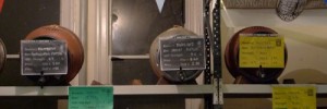 CAMRA Pigs Ear Beer and Cider Festival by Emily Webber