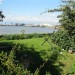 Ballast Quay Garden