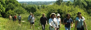 Spring into Summer with Walk London's free, guided walks this weekend. Details below.