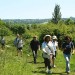 Hi-Res_capital ring section 9 - photo 5 Spring into Summer with Walk London's free, guided walks this weekend. Details below.
