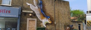 Boe and Irony squirrel, Tottenham