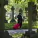 cemetary-stroll