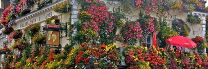The super-floral Churchill Arms, our winner. Image by Stephskimo in the Londonist Flickr pool.
