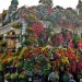 The super-floral Churchill Arms, our winner. Image by Stephskimo in the Londonist Flickr pool.