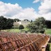 kenwoodchairs