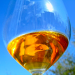orangenaturalwine orangenaturalwine