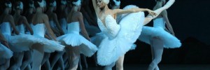 swanlake