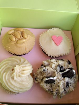 cupcakes.JPG