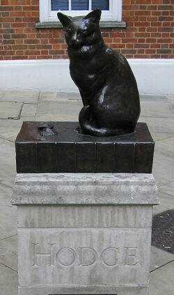 Hodge