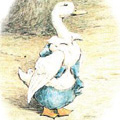 beatrix-potter.jpg