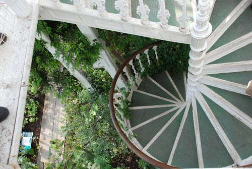 temperate_stairs.jpg