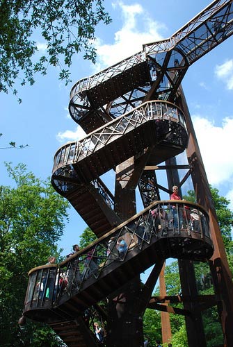treetop_stairs.jpg