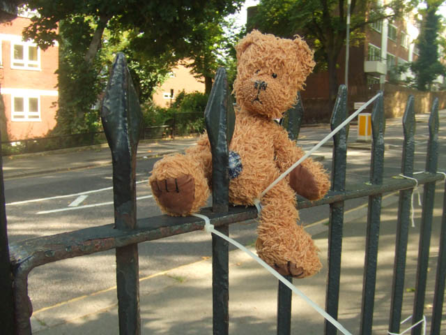 Primrosebear.jpg