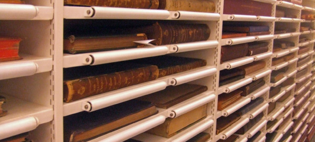 Shelving.jpg