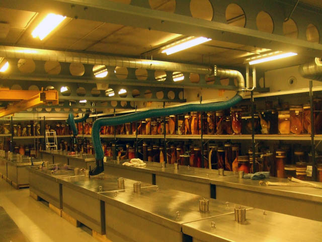 darwincentre.jpg
