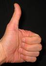 thumbsup.jpg