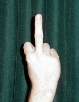 Middle_finger.JPG
