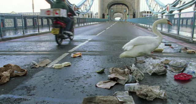 swanlondon.jpg