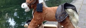 18478_LNBBUnfortunateHorse