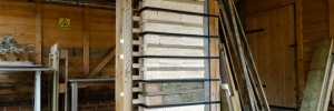 High density urban living for bees