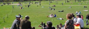 A lovely day for a tea party in the park. Photo by cedickie.