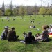 16934_aproperteaparty A lovely day for a tea party in the park. Photo by cedickie.
