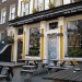 17039_WhiteBear1 17039_WhiteBear1