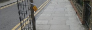 17246_whiteleadtree