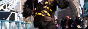10311_Gorilla_10 10311_Gorilla_10