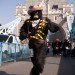 10311_Gorilla_10 10311_Gorilla_10