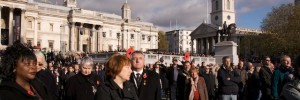 10805_E_MG_1 10805_E_MG_1