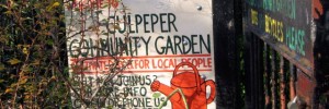 10967_Culpepper2