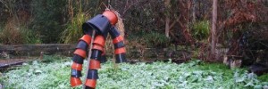 11037_DSCF1212