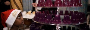 11184_Jelly_MG_1