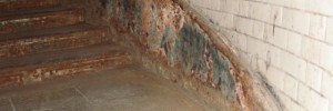 Woolwich foot tunnel. It is as rusty as it looks, though