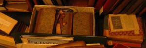 Books everywhere