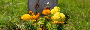 13659_westnorwood_graveflowers