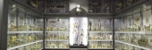 14254_Crystalgallery1