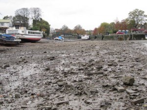 Stranded boats