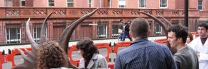 Negotiating road works outside the Cruciform Building. (C) UCL, Grant Museum of Zoology.