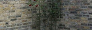17567_winetest 17567_winetest