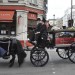 17940_070110HorsleyCortegeByMikeKing-2