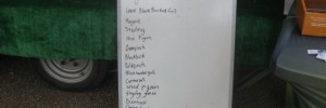 18130_falcon2 List of avians spotted today. Pterosaurs not included.