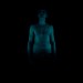 A new exhibition at the Royal Institution featured these photographs by Anne Brodie, taken using the light emitted by the bioluminescent bacteria Photobacterium phosphorem.